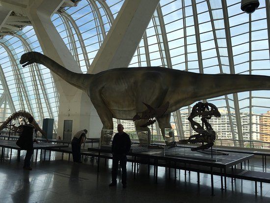 Museum of Natural Science